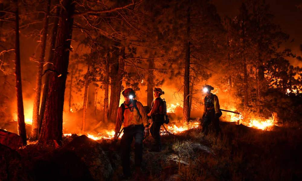 Wildfires and Real Estate in Fire-Prone Regions - Streetcurrencies